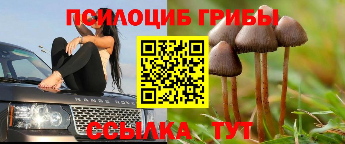 Псилоцибиновые грибы мицелий  Вход с VPN  Омск 